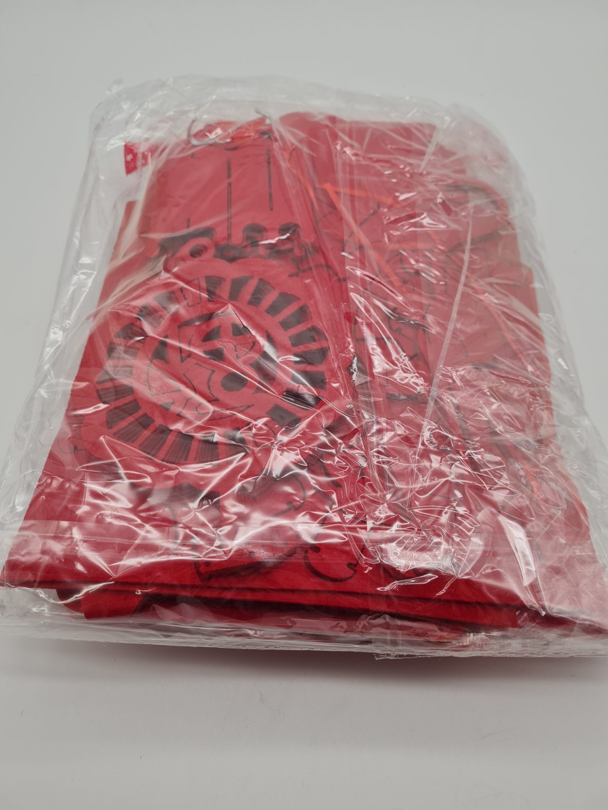 Chinese Dragon Paper Lantern Decoration Kit year 2025 — photograph 1