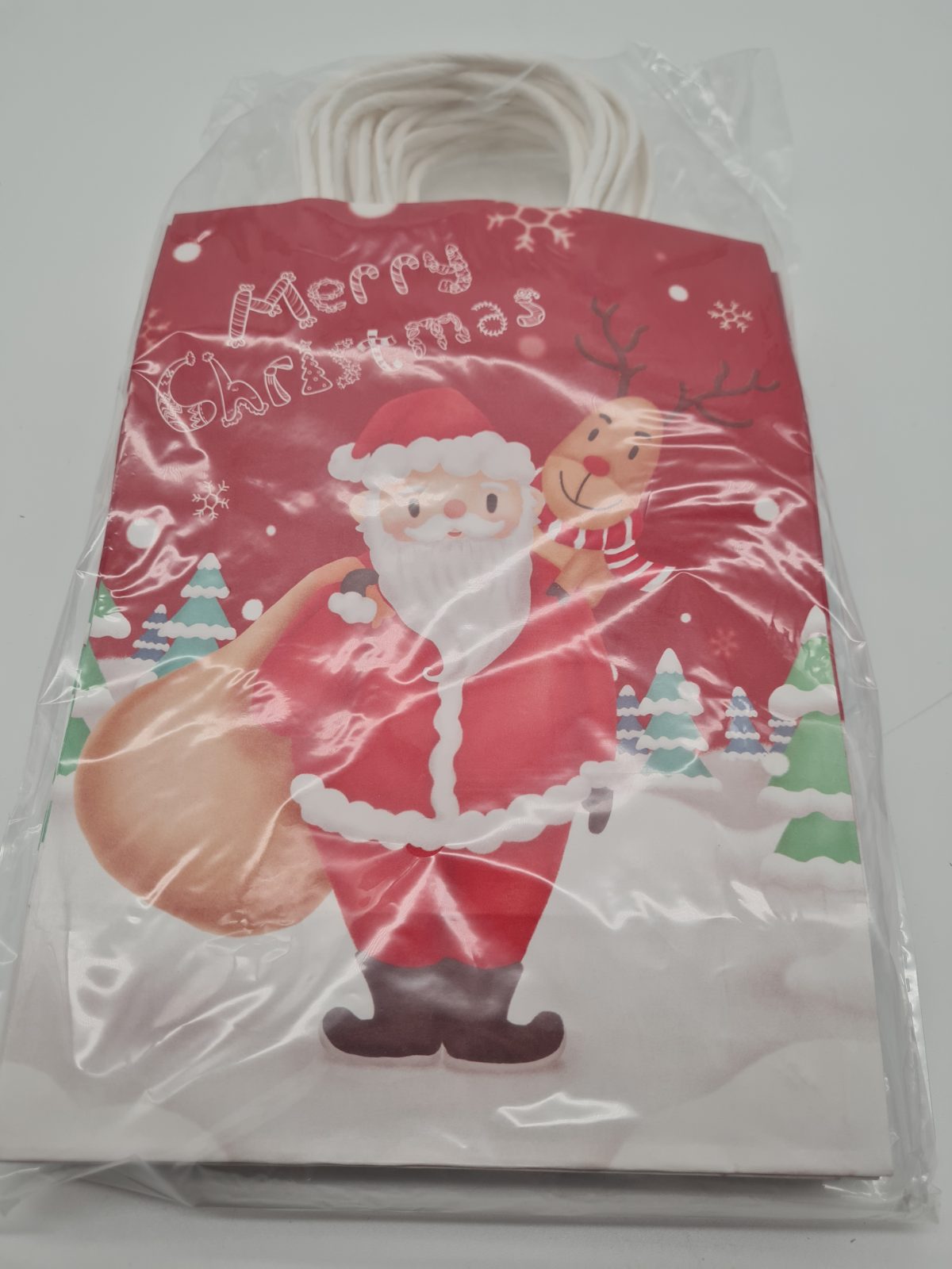 12 Christmas Gift Bags — photograph 2