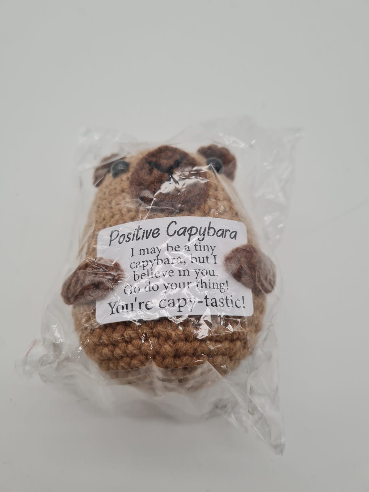 Positive Capybara Crochet Soft Toy KBW250622KPBL28BAIJIAN — photograph 1