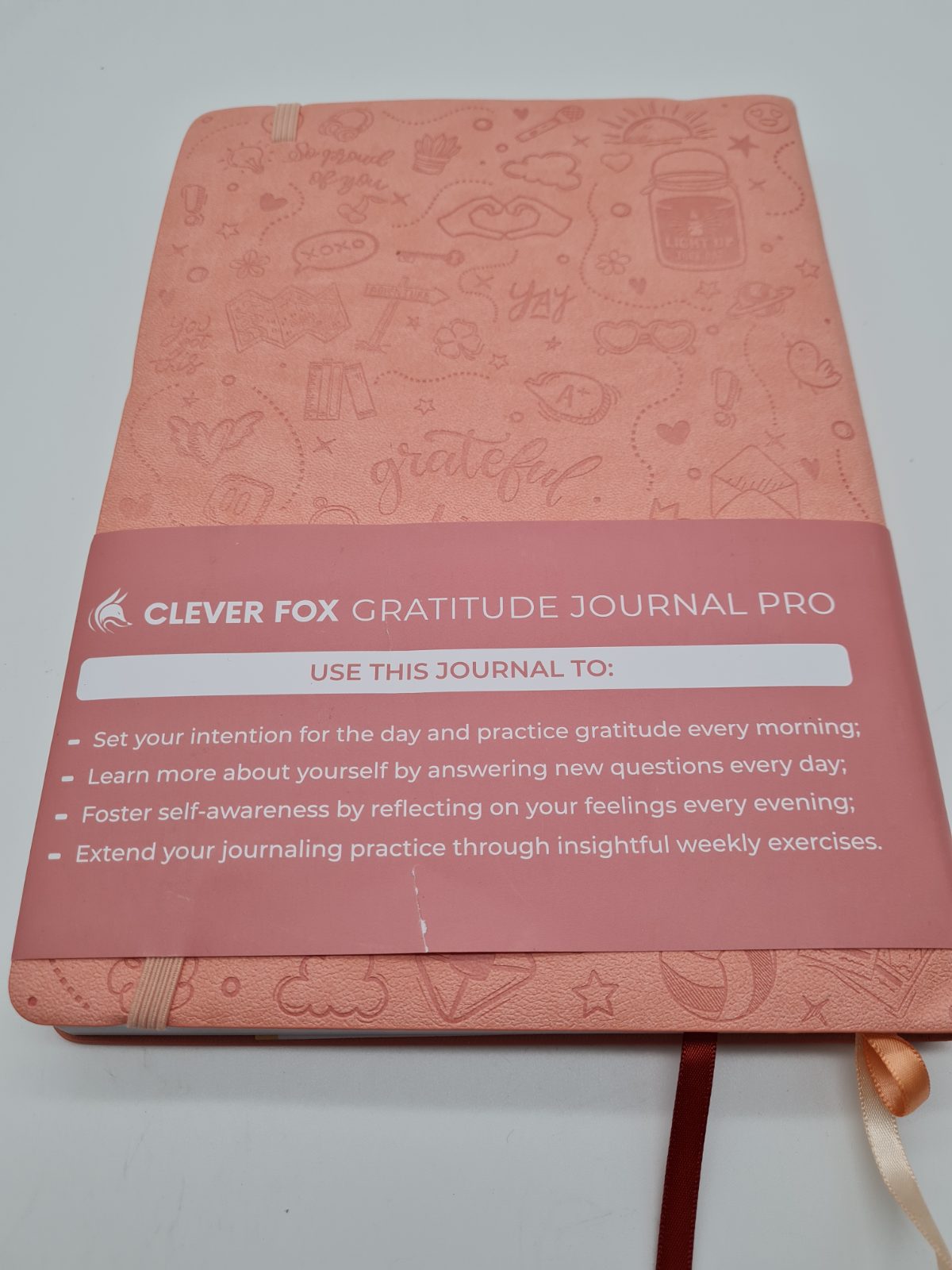 Gratitude Journal Pro — photograph 2