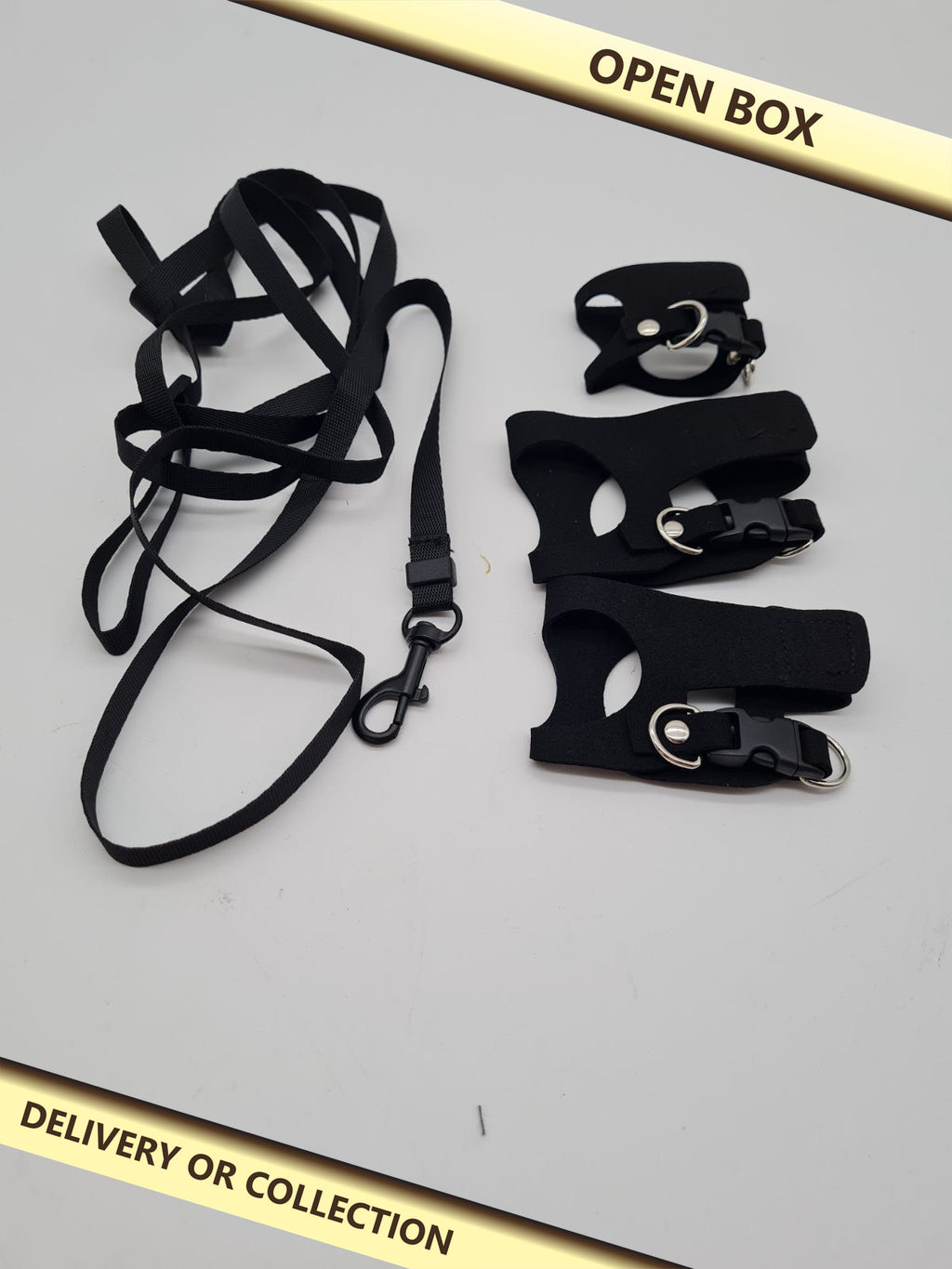 Bearded Dragon Harness and Leash Set — photograph 1 — Open box; auction delivery information shown on image