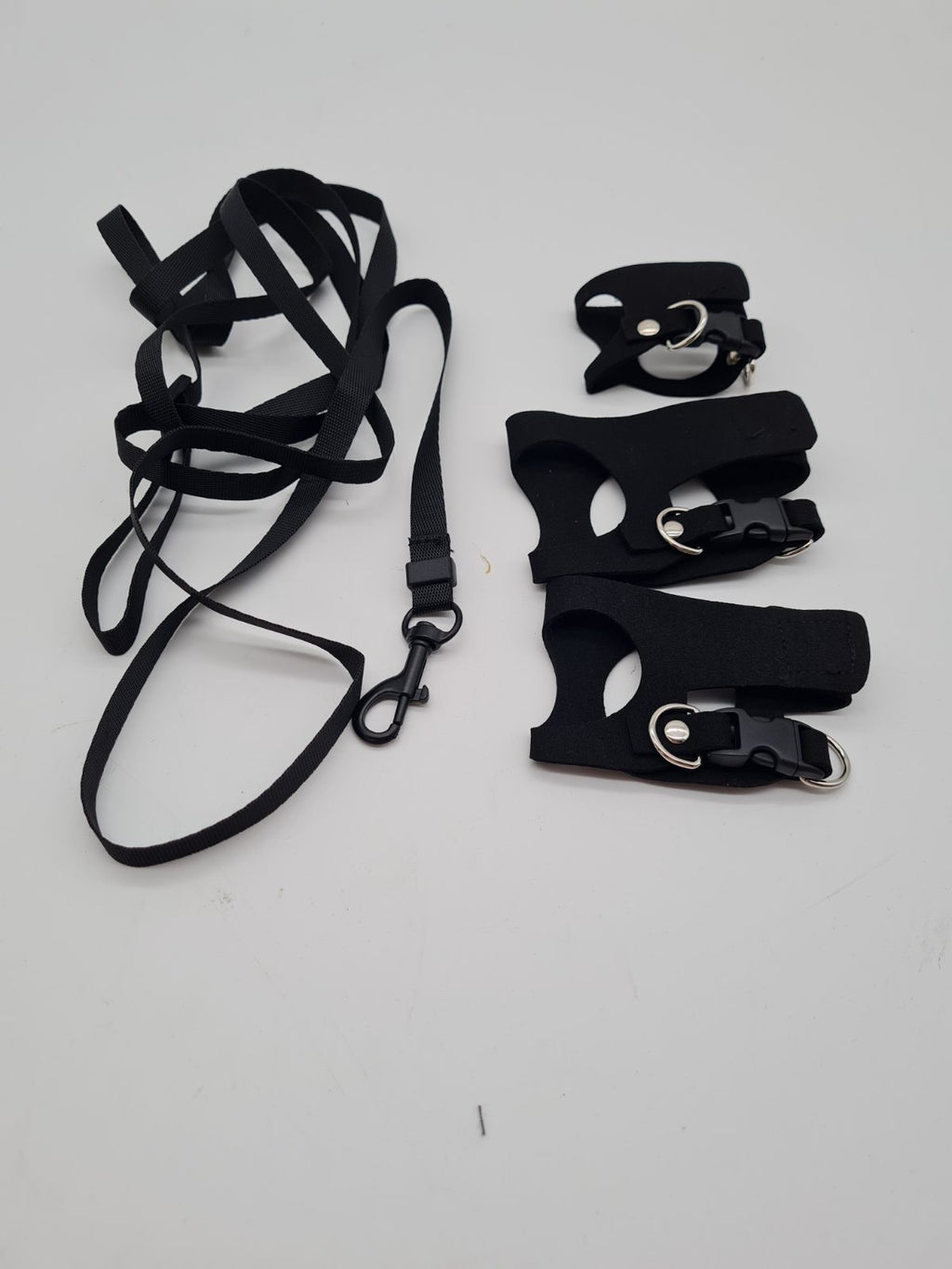 Bearded Dragon Harness and Leash Set — photograph 1