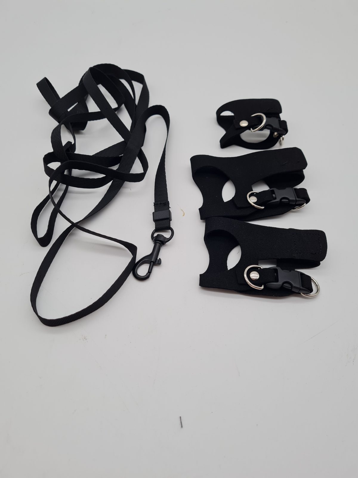 Bearded Dragon Harness and Leash Set — photograph 1