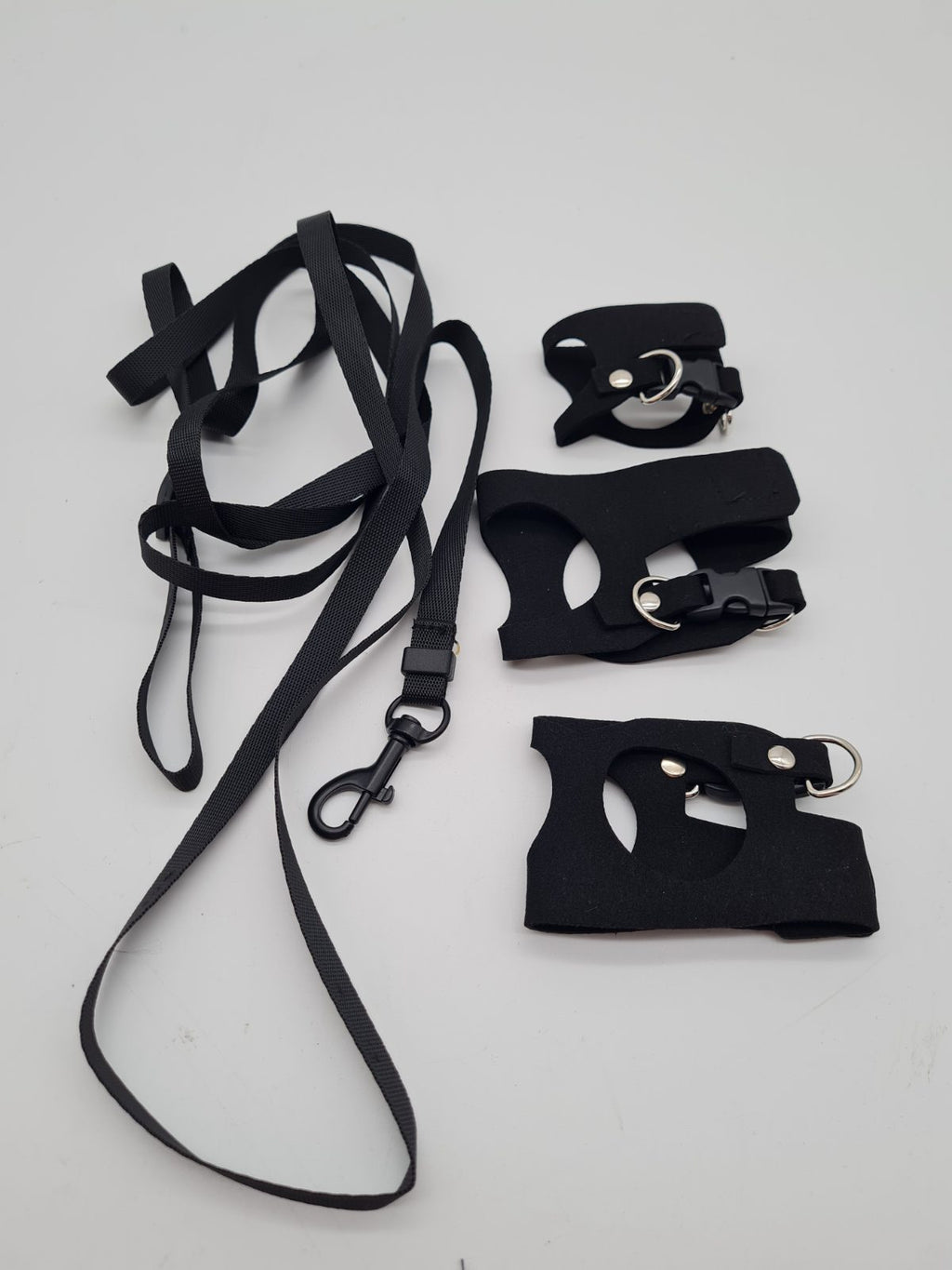 Bearded Dragon Harness and Leash Set — photograph 2
