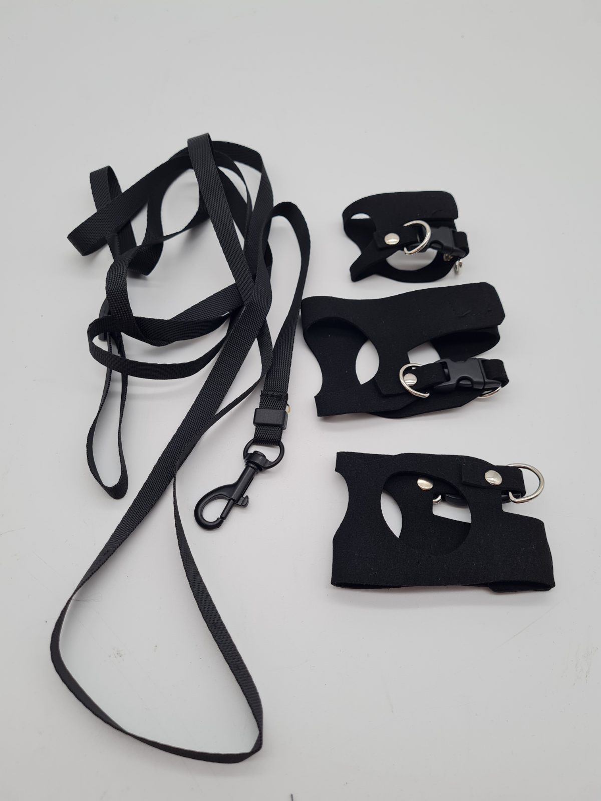 Bearded Dragon Harness and Leash Set — photograph 2