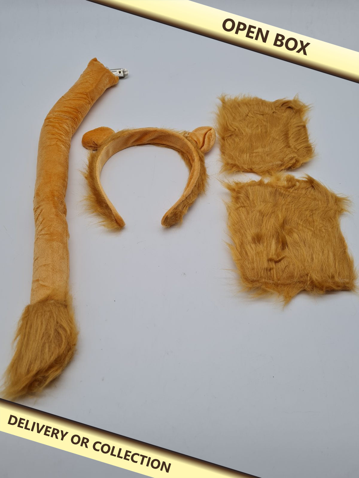 Lion costume accessory set — photograph 1 — Open box; auction delivery information shown on image