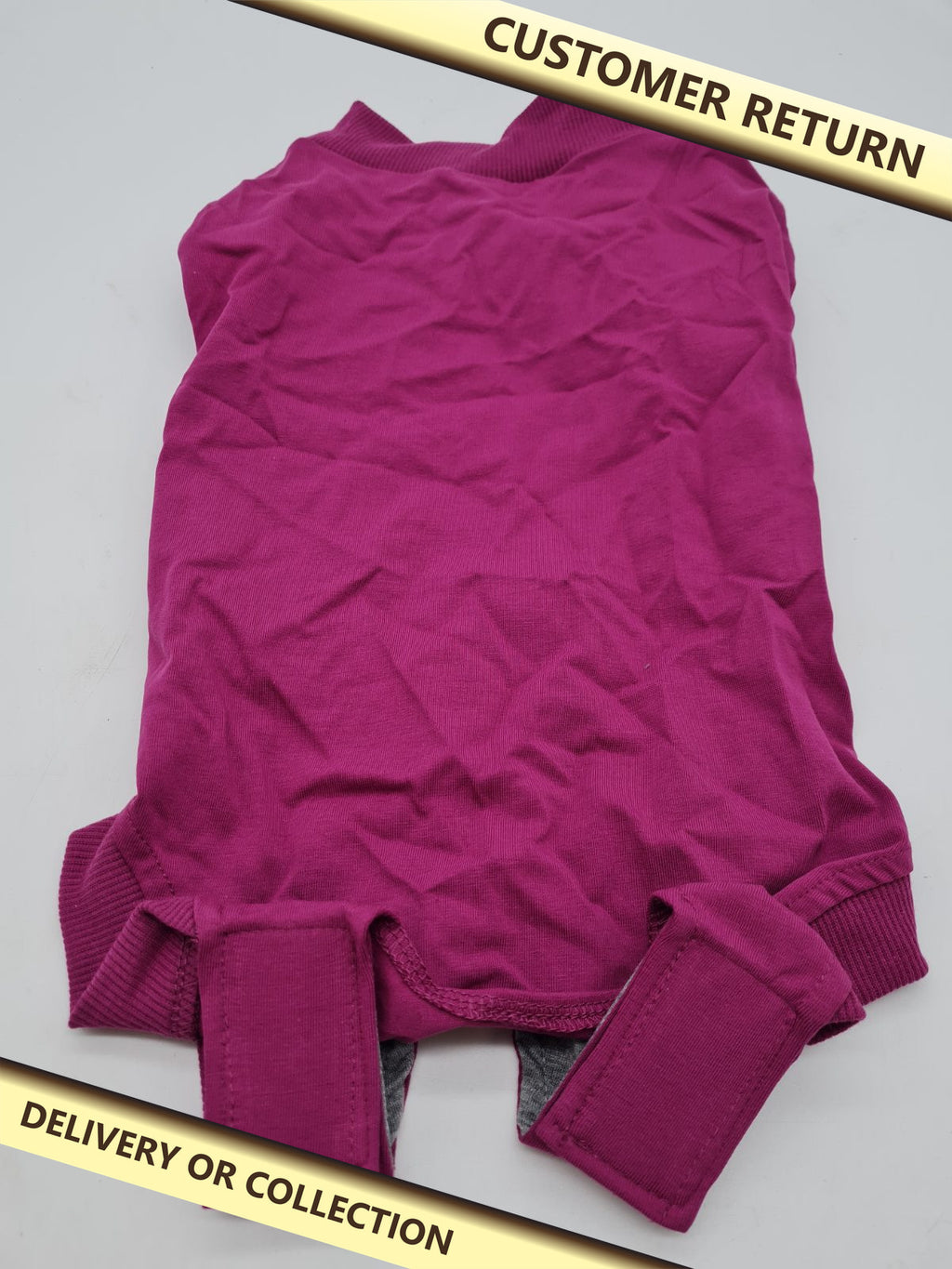 Pet Recovery Bodysuit â€” photograph 1 — Customer return; auction delivery information shown on image