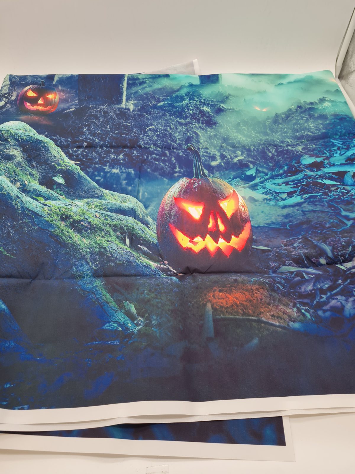 Halloween photography background â€” photograph 2