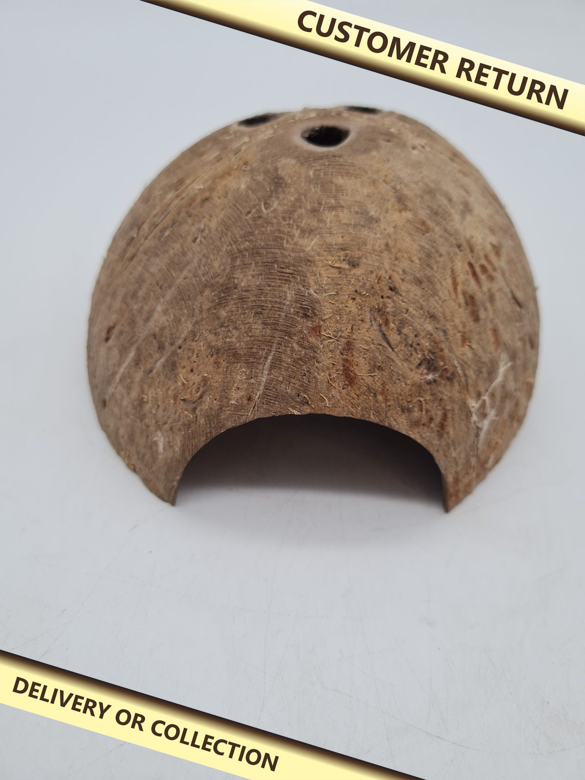 Coconut Shell Reptile Hide Shelter â€” photograph 1 — Customer return; auction delivery information shown on image