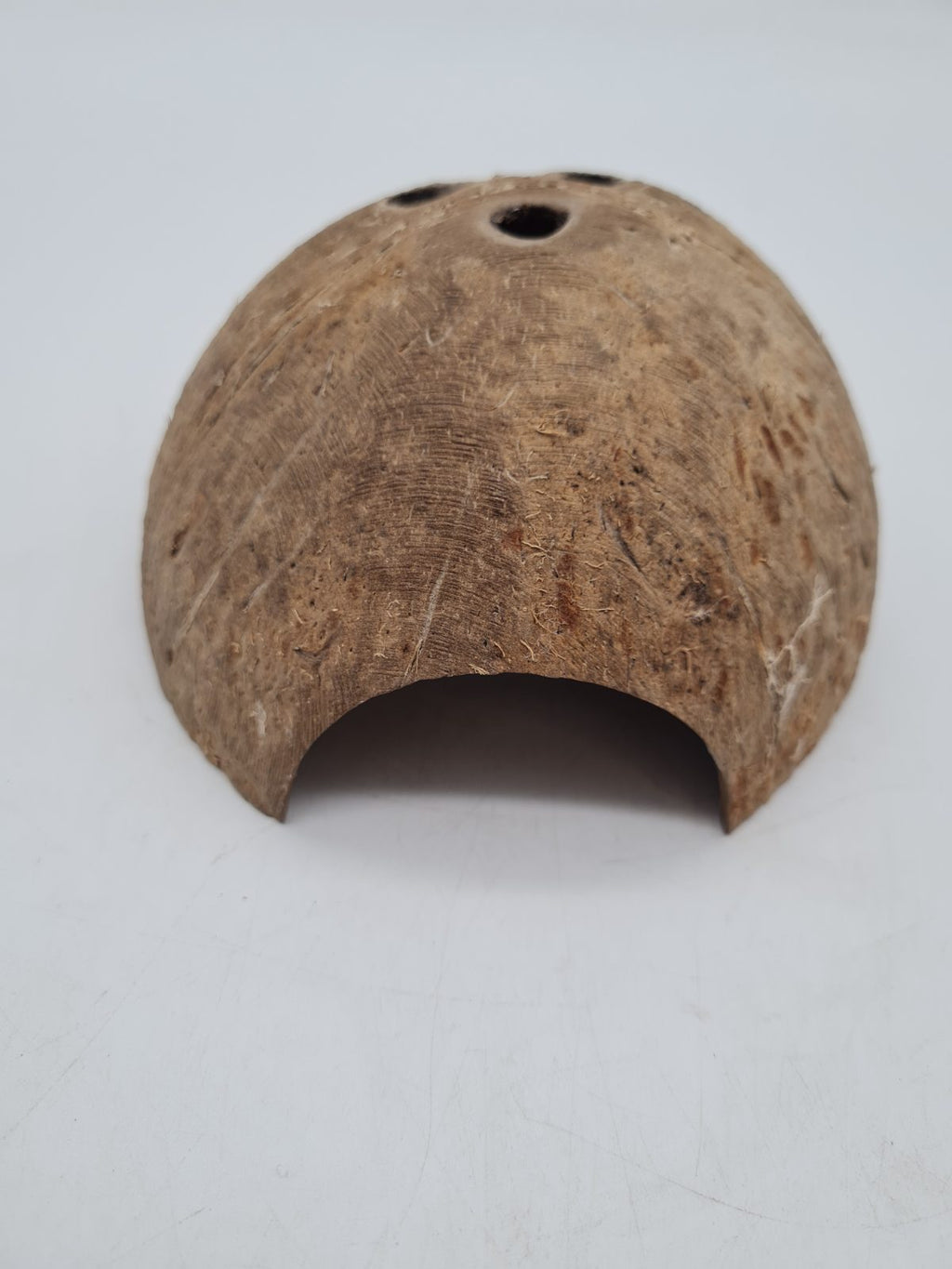 Coconut Shell Reptile Hide Shelter â€” photograph 1