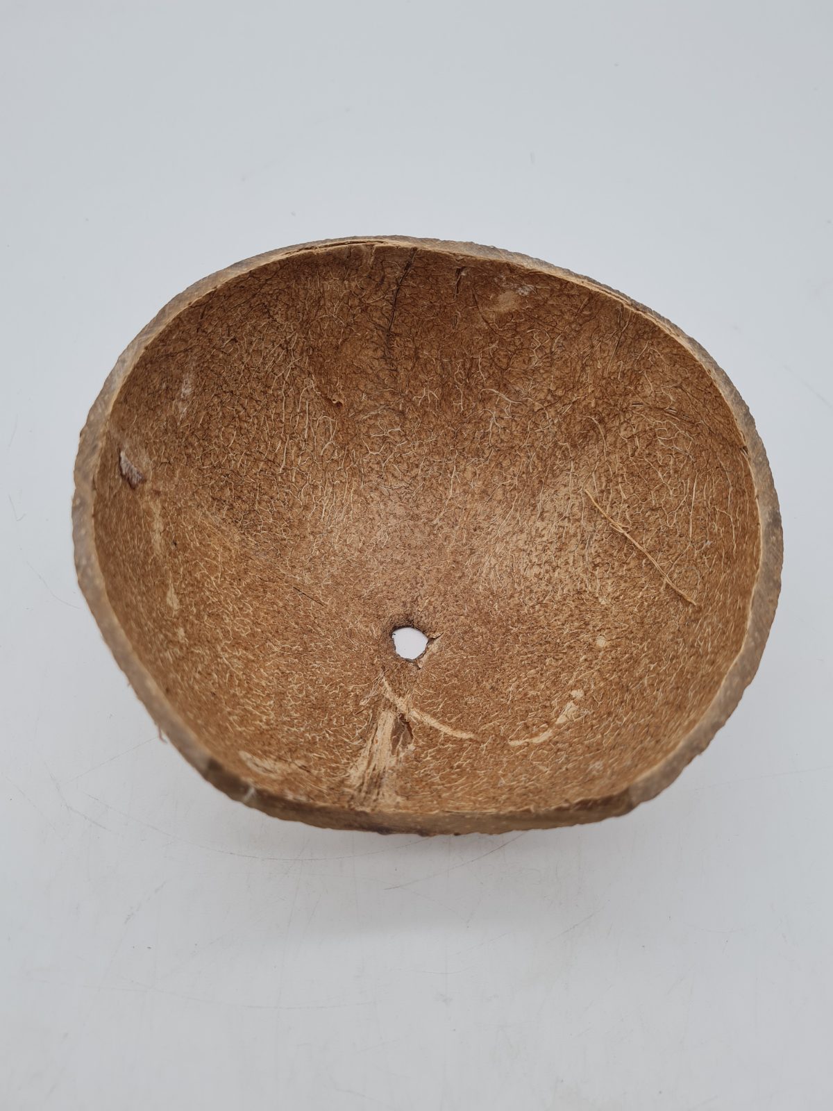 Coconut Shell Reptile Hide Shelter â€” photograph 2