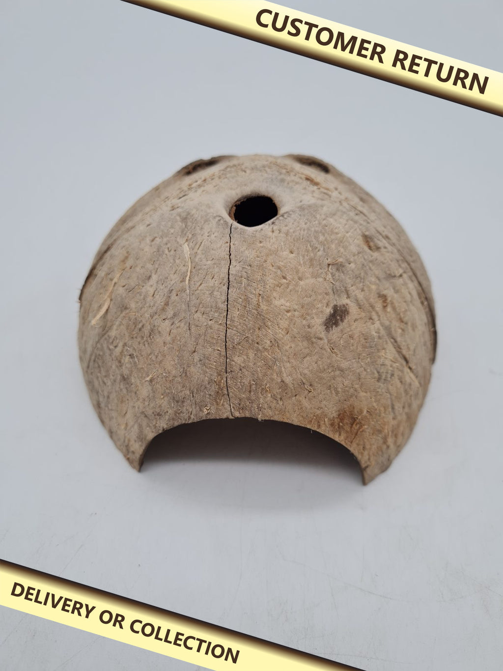 Coconut Shell Reptile Hide Shelter â€” photograph 1 — Customer return; auction delivery information shown on image