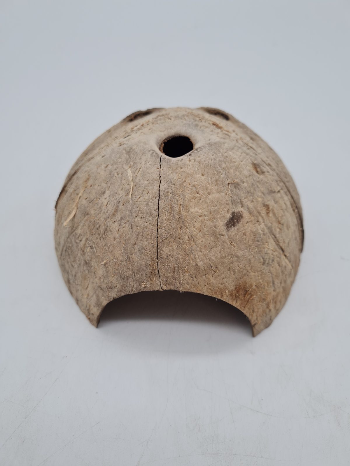 Coconut Shell Reptile Hide Shelter â€” photograph 1