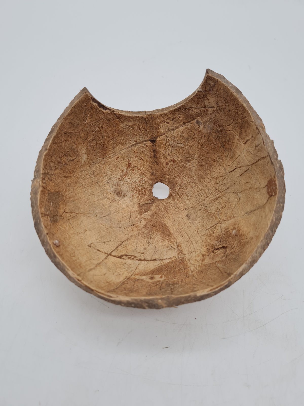 Coconut Shell Reptile Hide Shelter — photograph 2