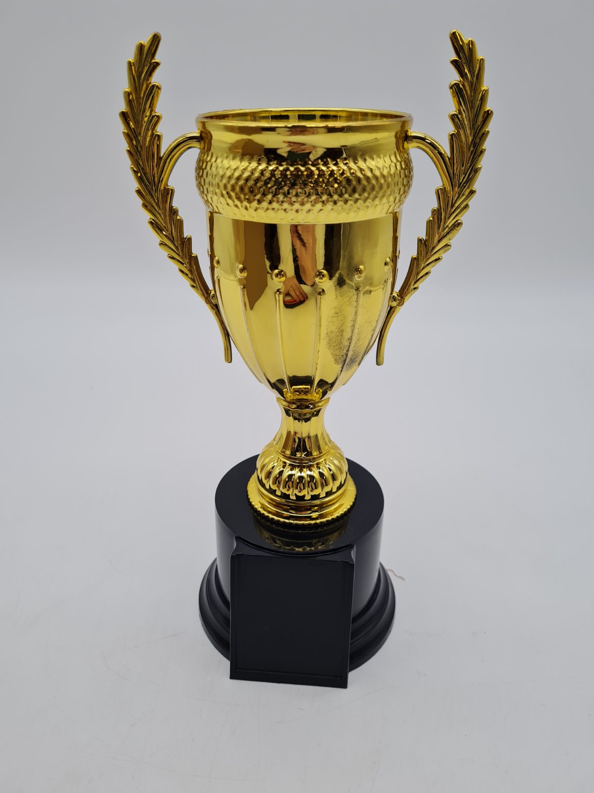 Decorative Trophy Cup â€” photograph 1