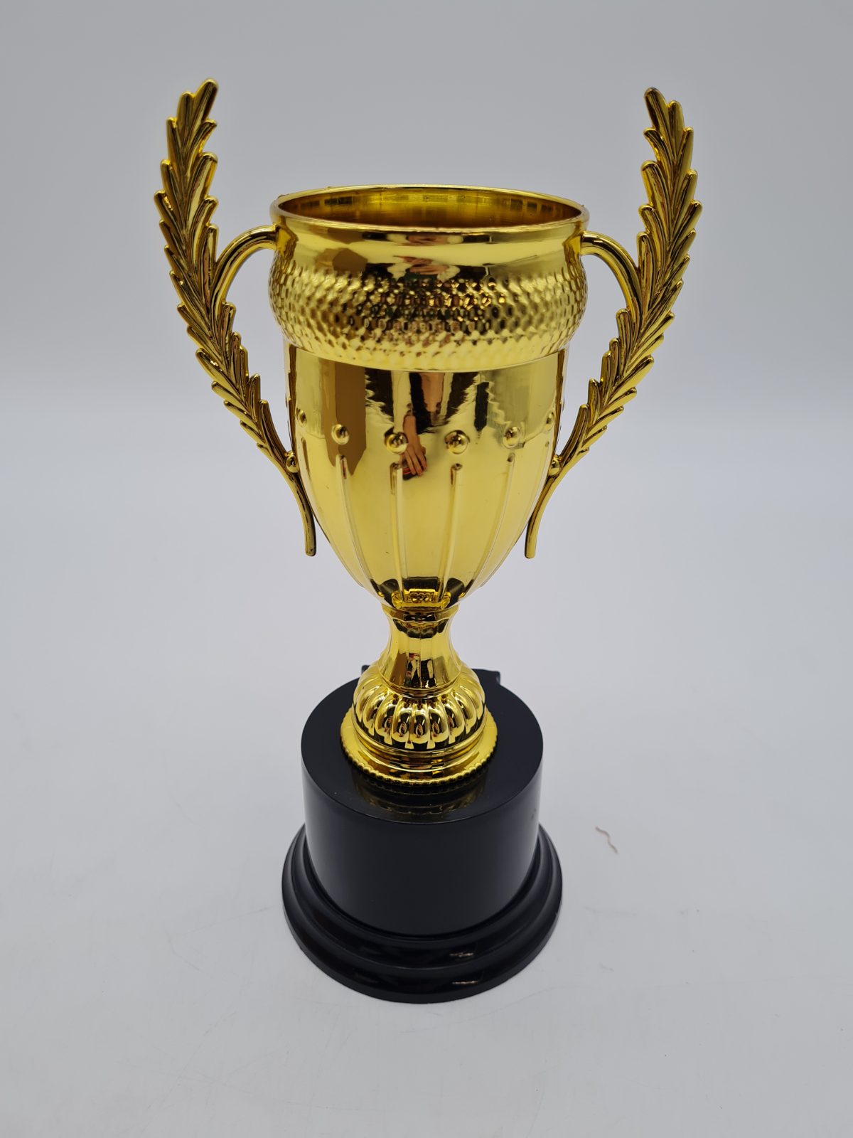 Decorative Trophy Cup â€” photograph 2