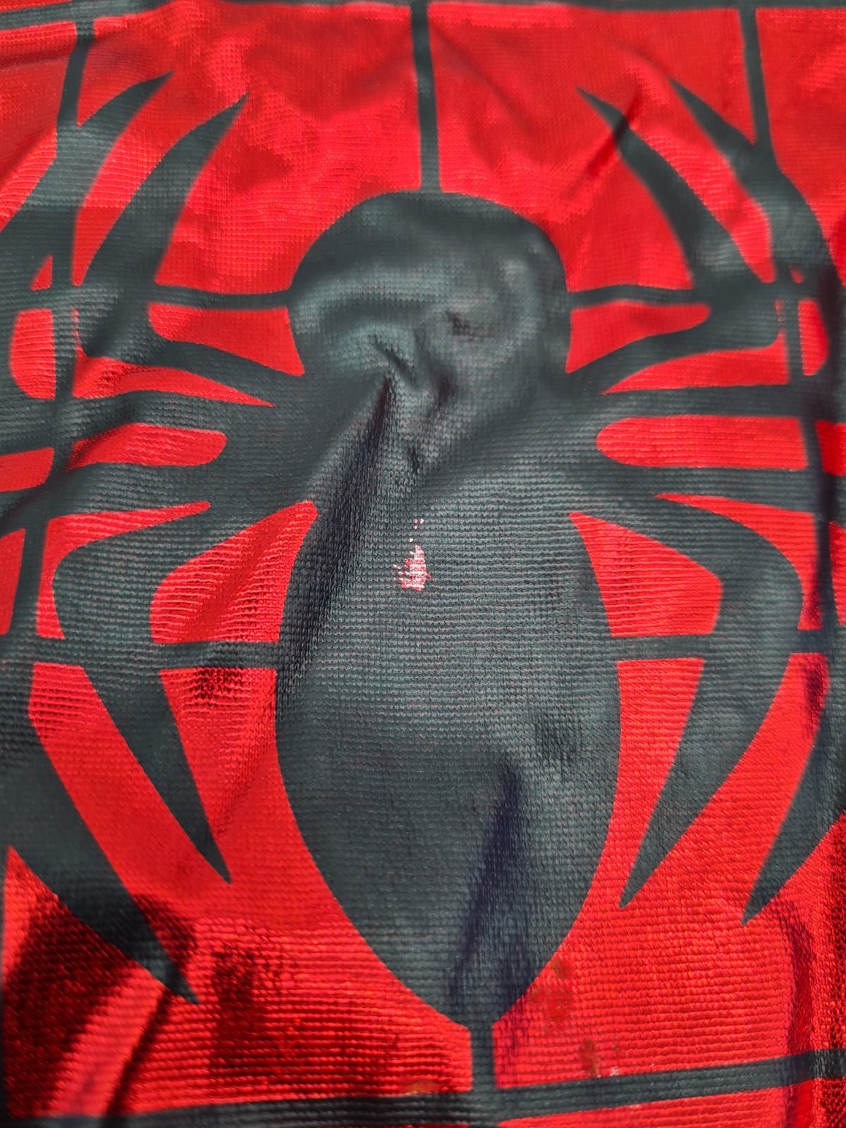 Children's Spider-Themed Fancy Dress Costume â€” photograph 4