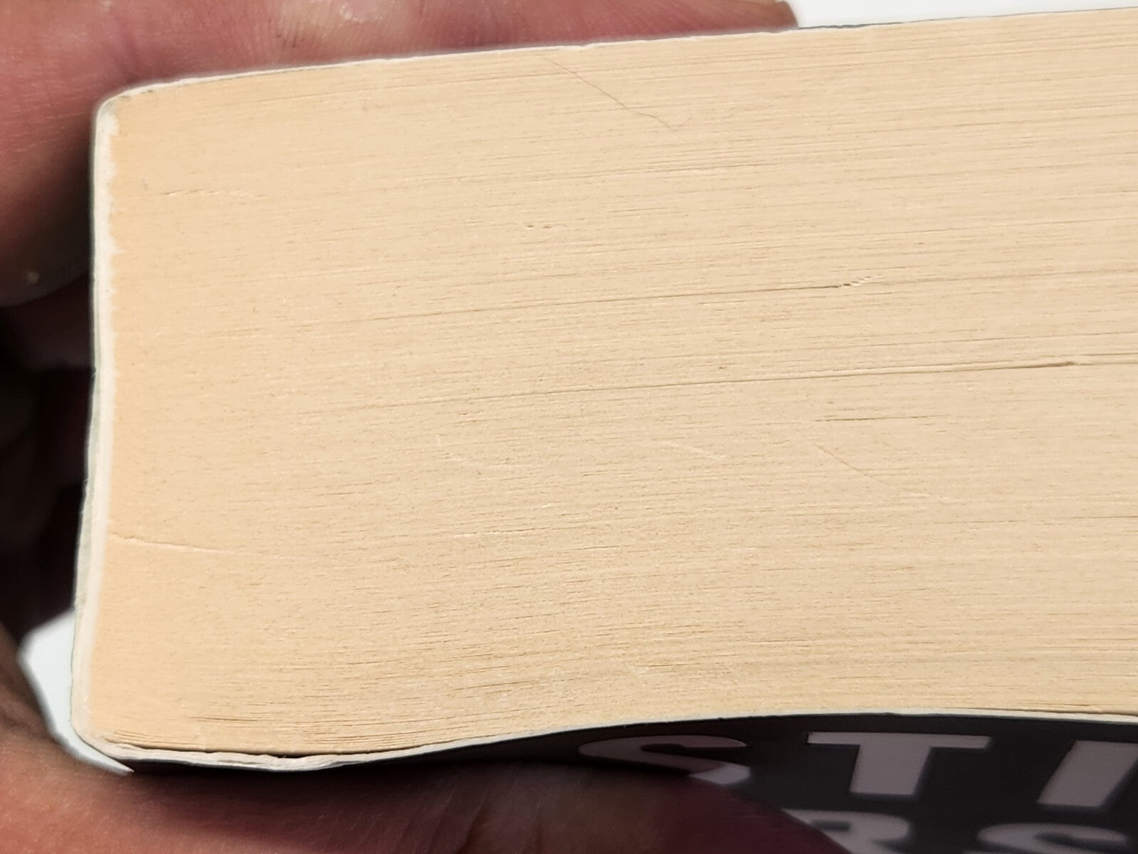 Stieg Larsson The Girl Who Kicked the Hornets' Nest (Millennium Trilogy 3)