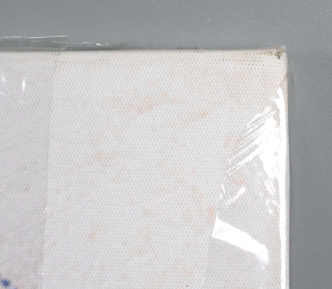 Abstract Canvas Wall Art for Living Room Modern Bedroom Wall Decor 60x90cm