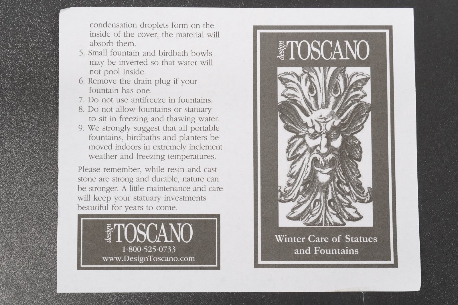 Rain Gutter Downspout Extension Roland The Gargoyle Statue by Design Toscano